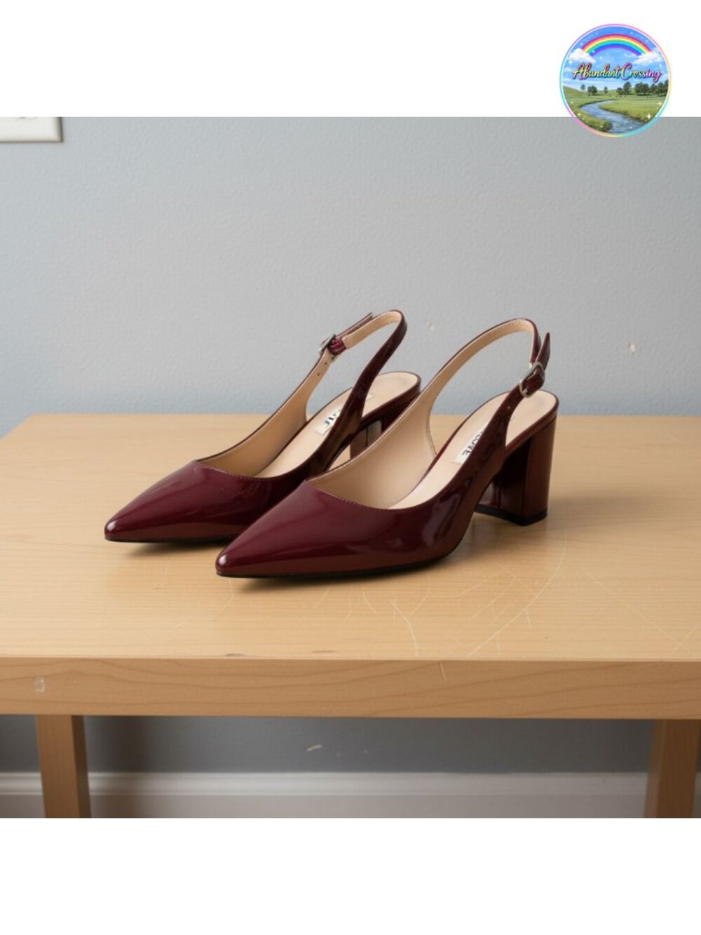 Women's Pointed Toe Chunky Block Heel Pumps